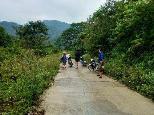 Truong Huy Homestay