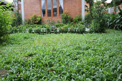 Posada Sam Ong Lang Homestay