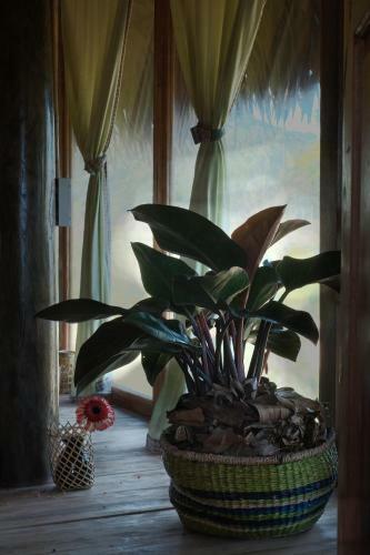 Lodge Pu Luong Treehouse