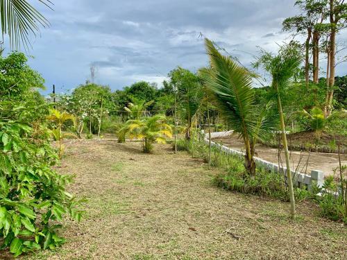 Bed & Breakfast Bungalow Yen Trinh
