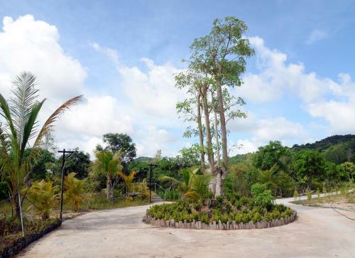 Bed & Breakfast Bungalow Yen Trinh