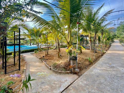 Bed & Breakfast Bungalow Yen Trinh