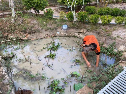 Bed & Breakfast Bungalow Yen Trinh