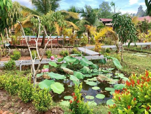 Bed & Breakfast Bungalow Yen Trinh