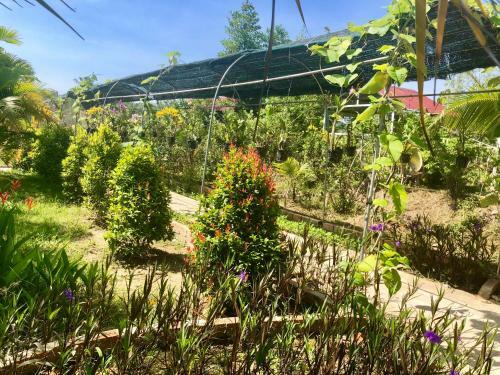 Bed & Breakfast Bungalow Yen Trinh