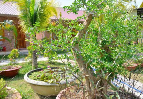 Bed & Breakfast Bungalow Yen Trinh