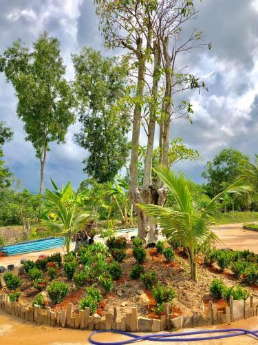 Bed & Breakfast Bungalow Yen Trinh