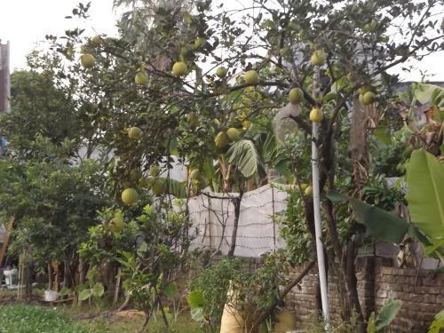 Ninh Binh Riverside Homestay 2