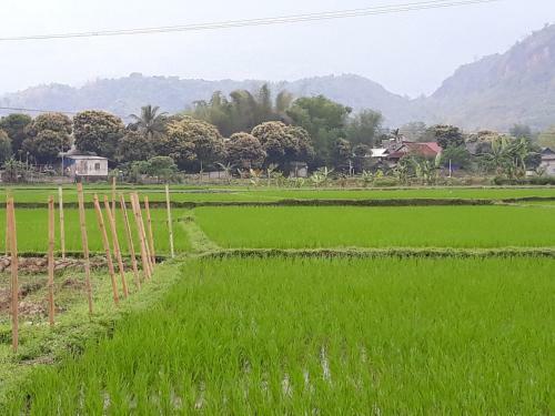 Hung Mai Homestay