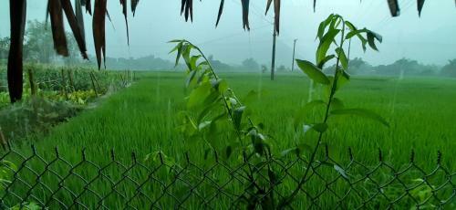 Hung Mai Homestay