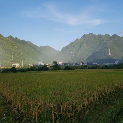 Hung Mai Homestay