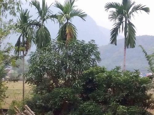 Hung Mai Homestay