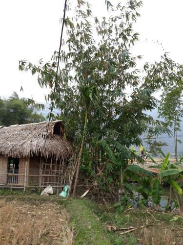 Hung Mai Homestay