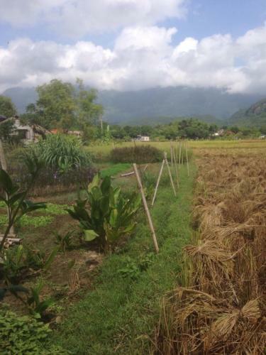 Hung Mai Homestay