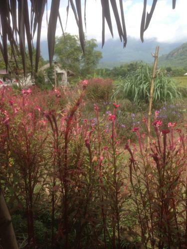 Hung Mai Homestay