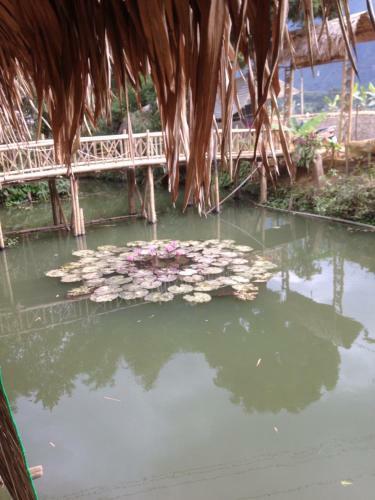 Hung Mai Homestay