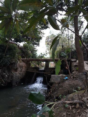 Hung Mai Homestay