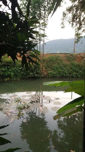 Hung Mai Homestay