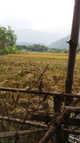 Hung Mai Homestay