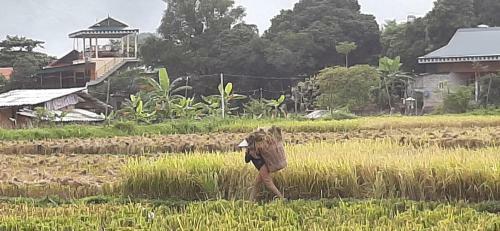 Hung Mai Homestay