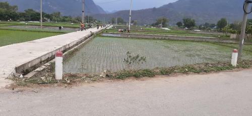 Hung Mai Homestay