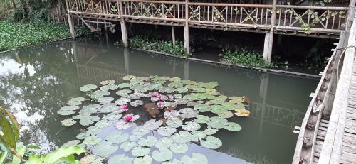 Hung Mai Homestay