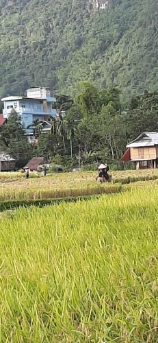 Hung Mai Homestay