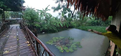 Hung Mai Homestay