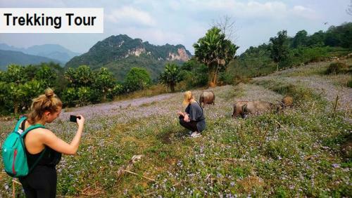 Ha Giang Amazing Hostel