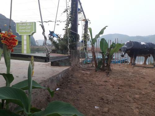 Phong Nha Riverlife Homestay