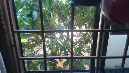 Hostal Hoa Phuong Guesthouse