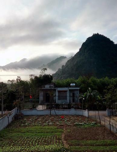 Phong Nha River House