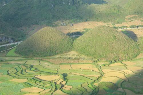 L� ?�nh Homestay