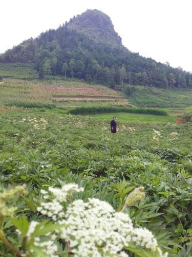 L� ?�nh Homestay