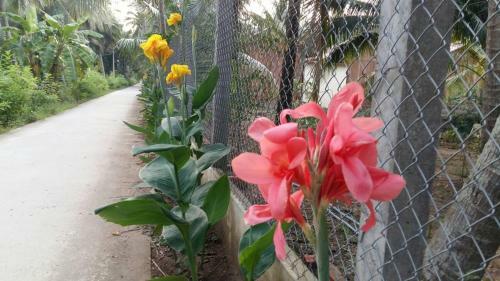 Coconut Homestay