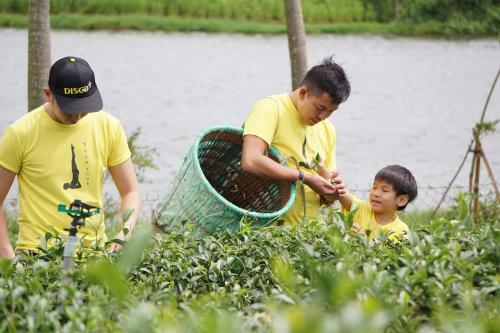 Thi�n ???ng S?ng ?o - Long Dinh Tea
