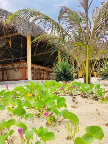 Ocean Beach Bungalows & Hostel