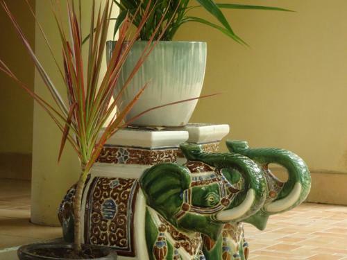 Bed & Breakfast Mango Home Riverside