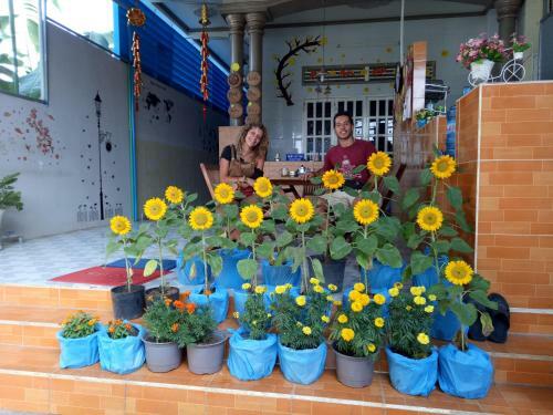 Hostal Binh An Backpacker Guesthouse