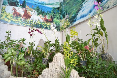Hostal Binh An Backpacker Guesthouse