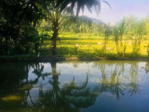 Vu Linh Homestay