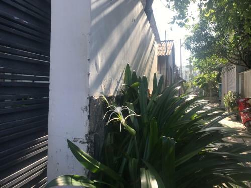 Apartamento ??o Ng?c Vt1