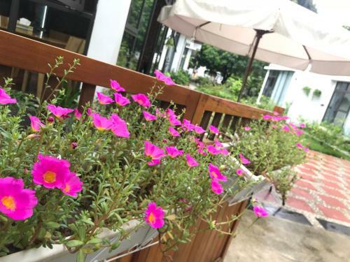 Hostal Tam Coc Boutique Garden