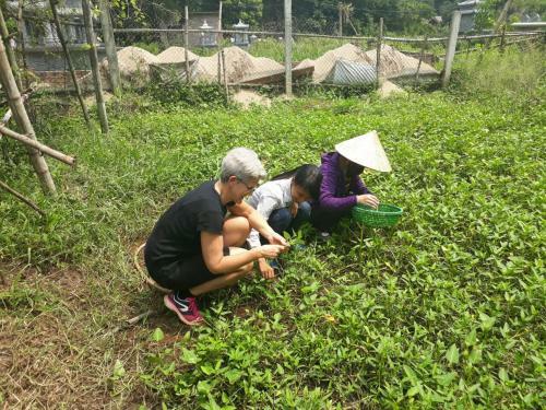 Bed & Breakfast Amira Homestay