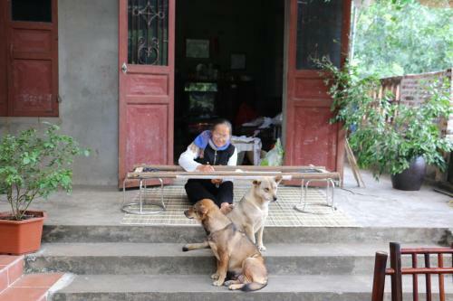 Bed & Breakfast Amira Homestay
