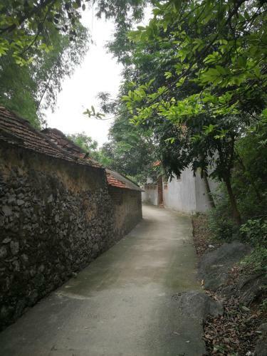 Bed & Breakfast Amira Homestay