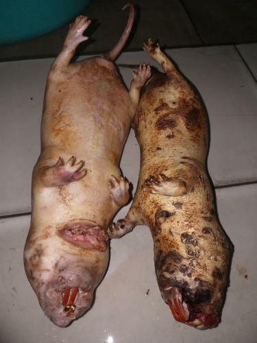 Hostal Nh� Ngh? Song Anh