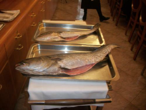 Hotel Albergo Ristorante Belvedere