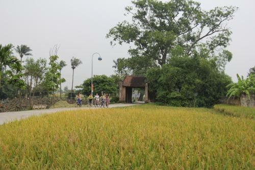Moon Garden Homestay