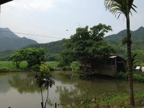Linh Soi Homestay